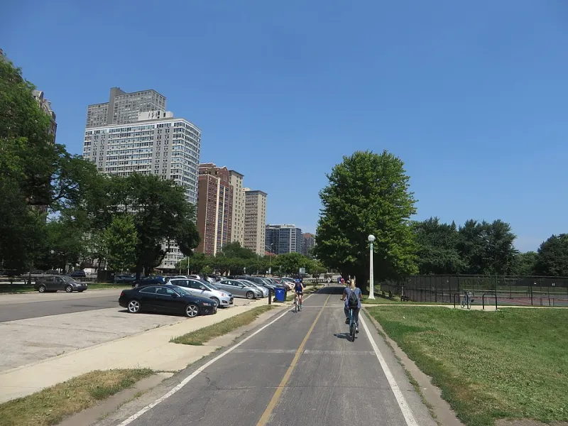 Paws, Docks, and Open Shores: A Lakeview Waterfront Guide for Pet Owners